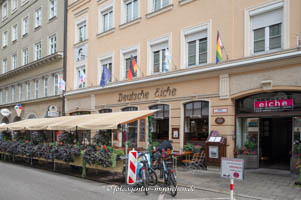 Deutsche Eiche – Foto aus München