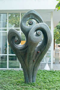 Flora – Foto aus München