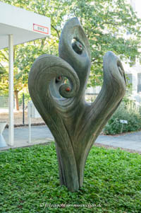 Flora – Foto aus München