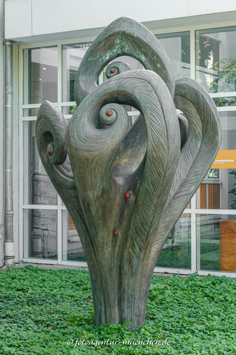 Flora
