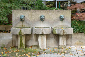 Löwenbrunnen – Foto aus München