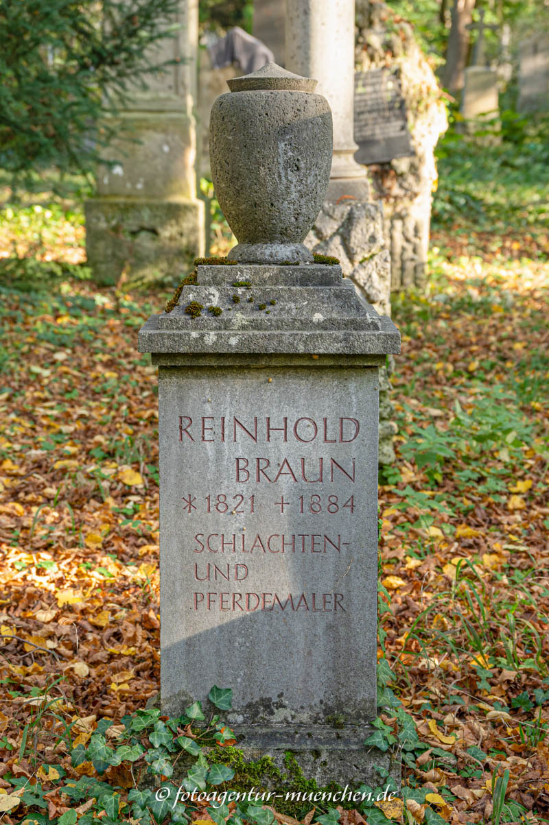 Braun Reinhold