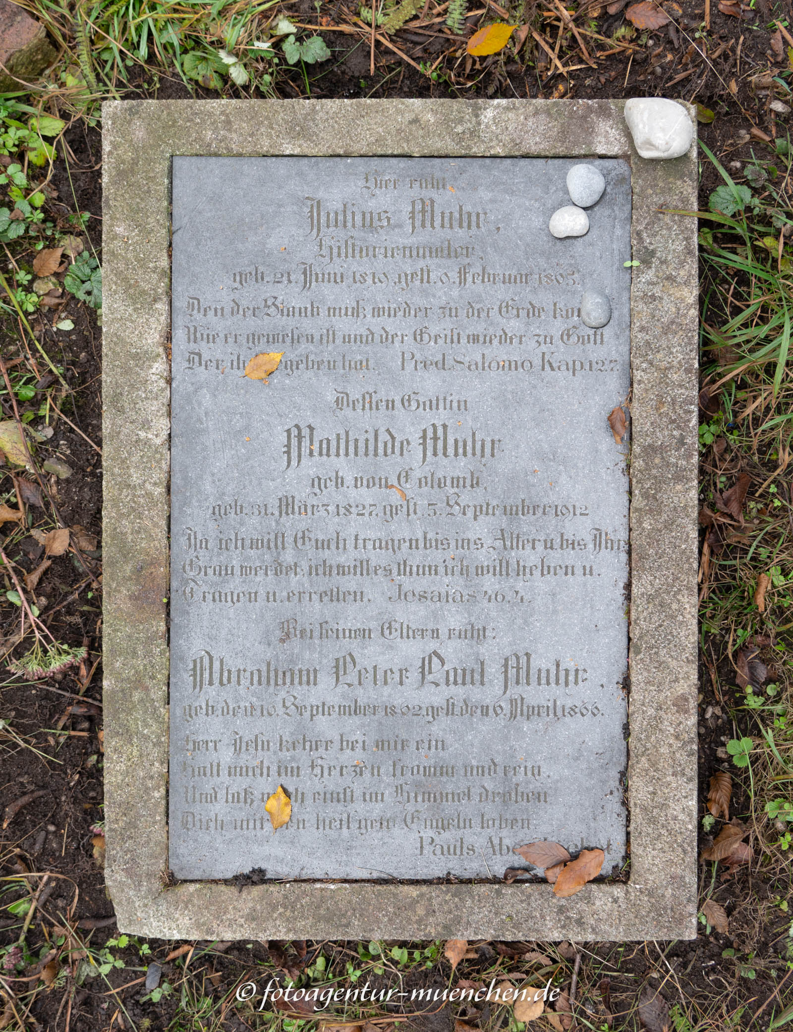 Julius Muhr