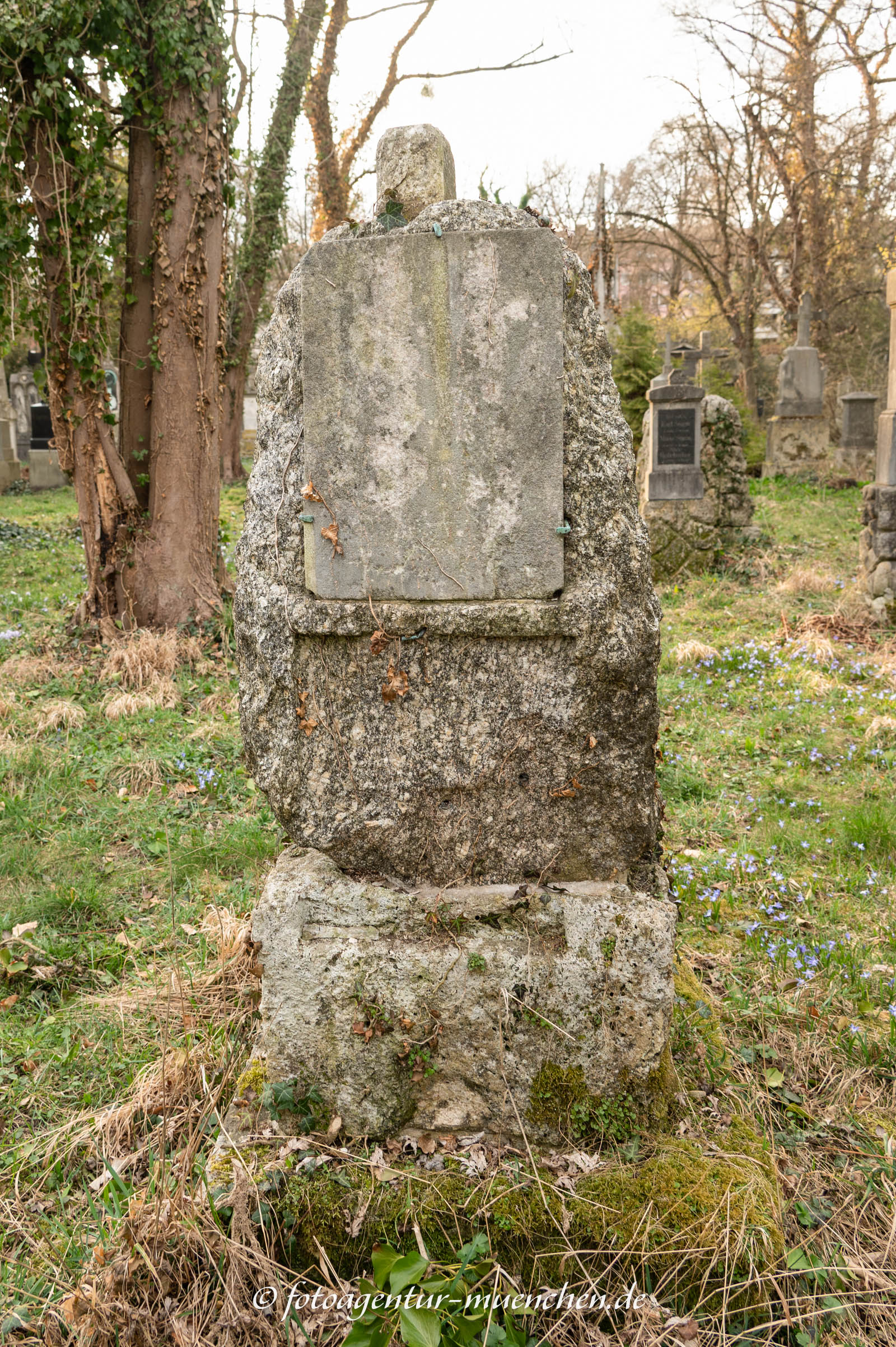 Johann Fischbach