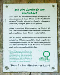 Gerhard Willhalm – Alte Dorflinde von Festenbach