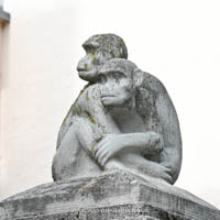 Gerhard Willhalm – Hasen und Affen