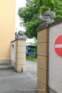 Gerhard Willhalm – Zwei große Schnecken