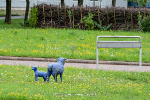 Gerhard Willhalm – Blaue Schafe