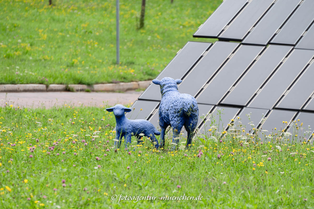 Blaue Schafe – Denkmal/Kunstwerk in München