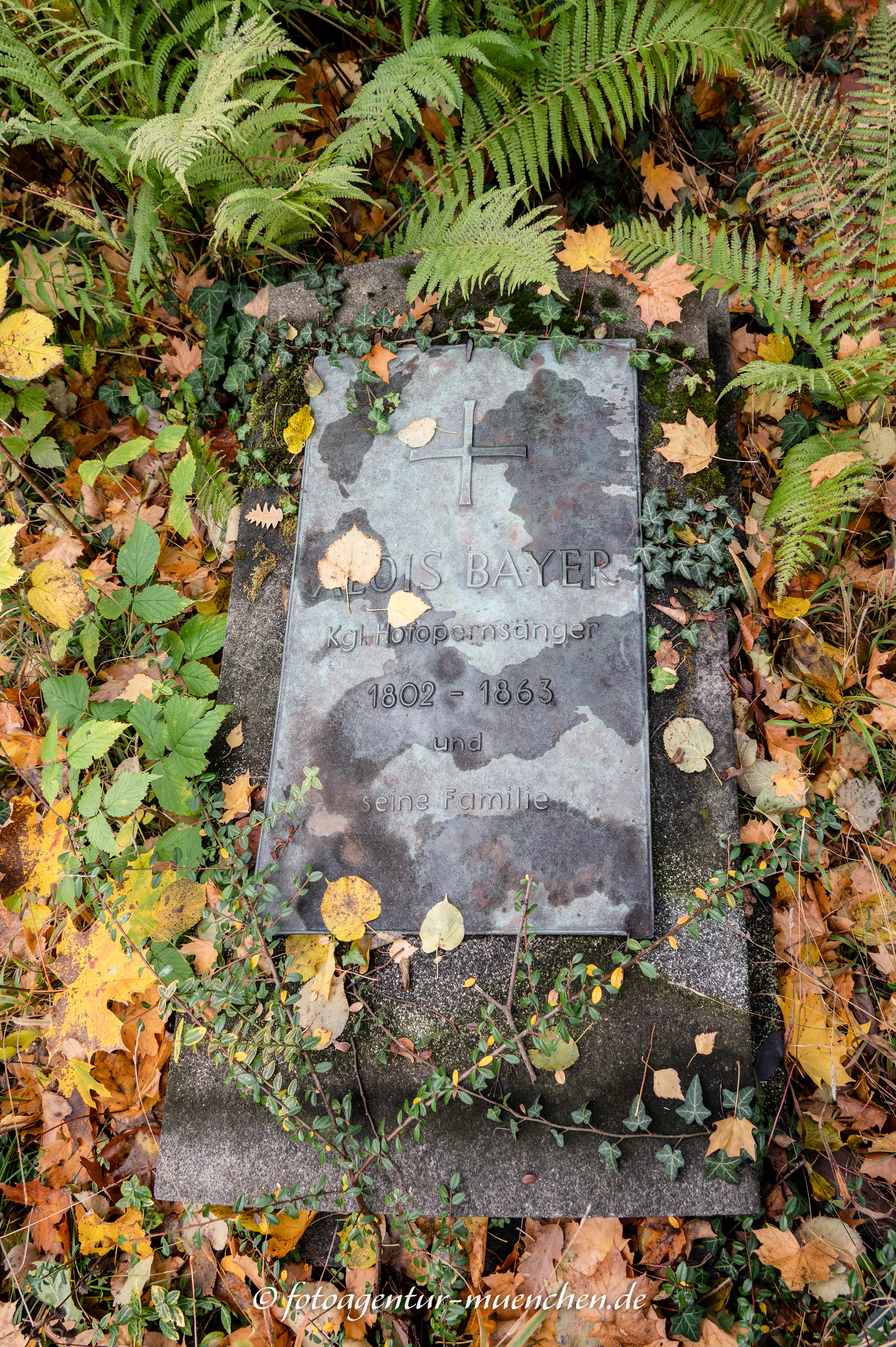 Alois Bayer