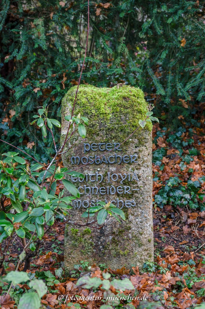 Schneider Edith