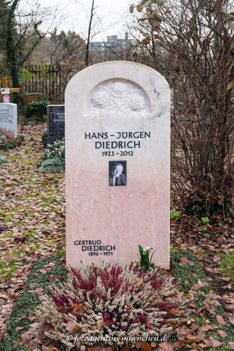 Diedrich Hans Jürgen
