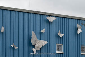  – Schmetterlinge