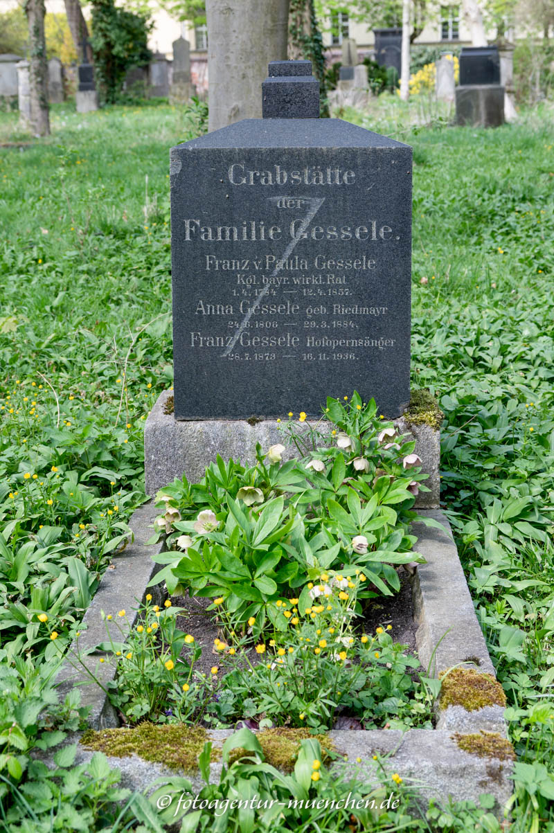 Gessele Franz
