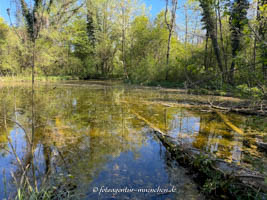 Weiher – Foto aus München