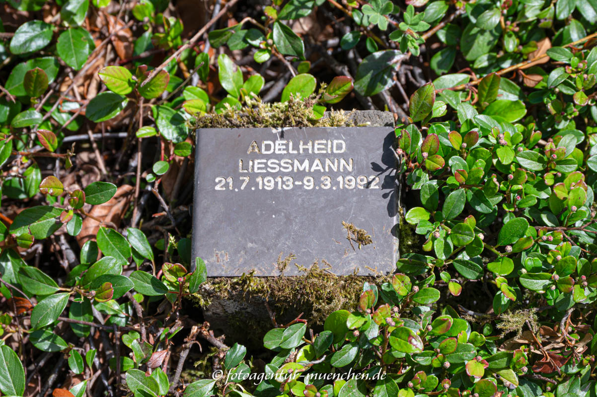 Grab - Adelheid Liessmann
