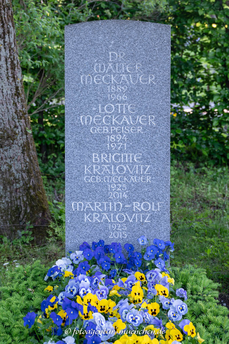 Meckauer Walter