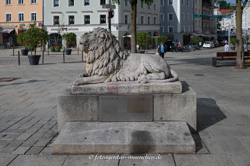Die Löwen am Ludwigsplatz