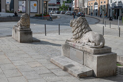 – Die Löwen am Ludwigsplatz