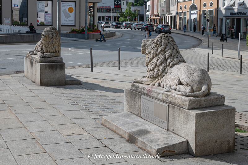 Die Löwen am Ludwigsplatz
