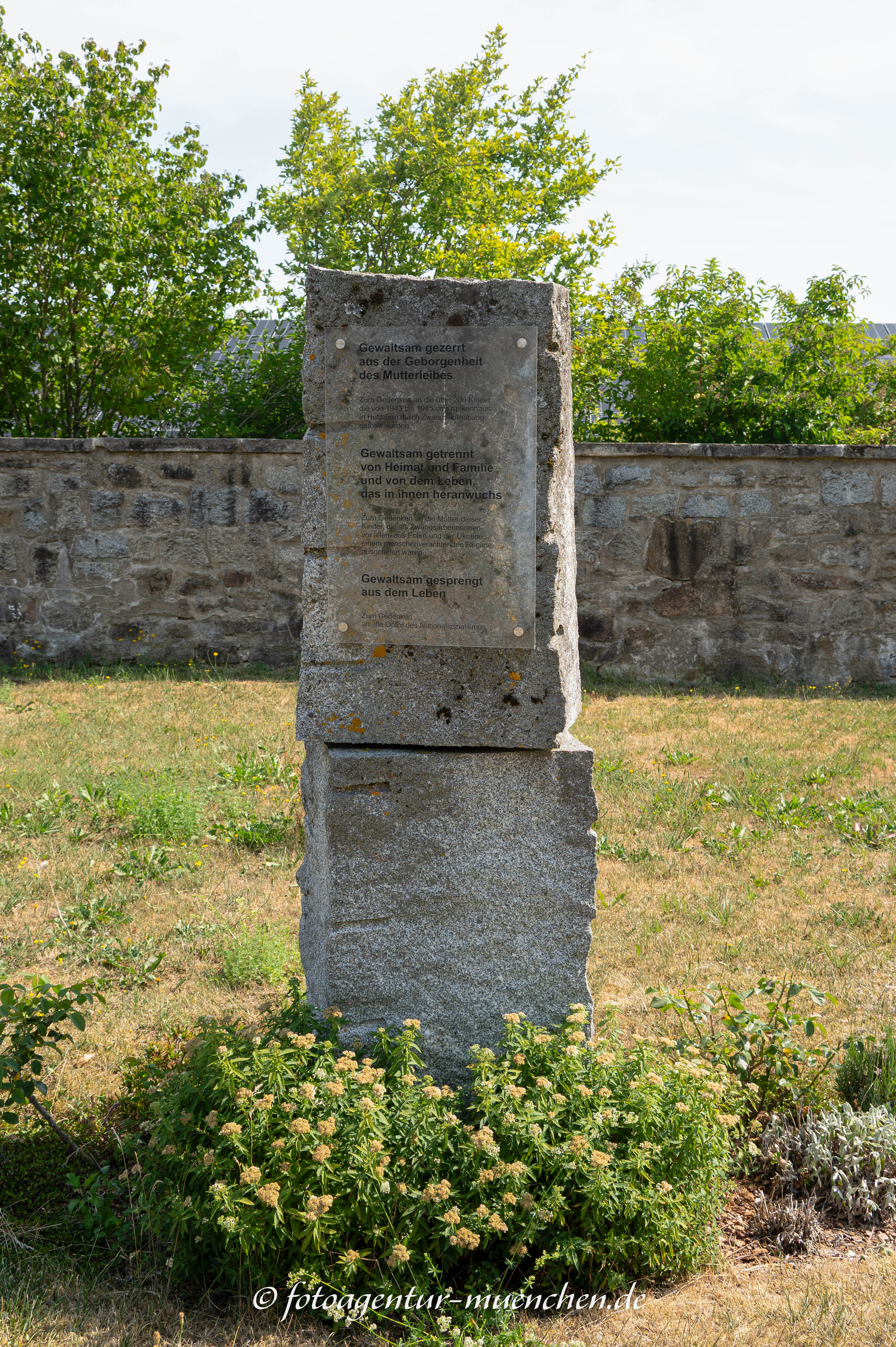 Gedenkstein an die Opfer der Zwangsabtreibungen