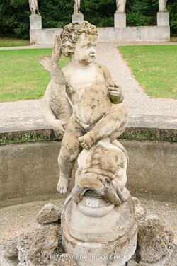 Knabe und Delphin