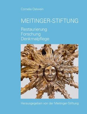 München Buch Meitinger Stiftung Restaurierung Forschung Denkmalpflege