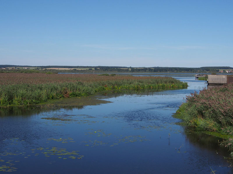   Federsee, Pfahlbauten