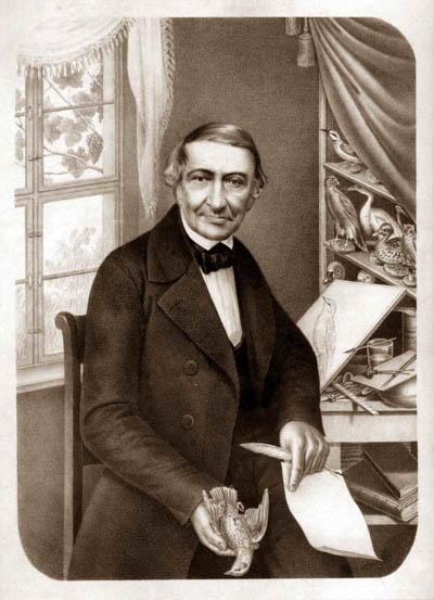 Naumann Johann Friedrich 